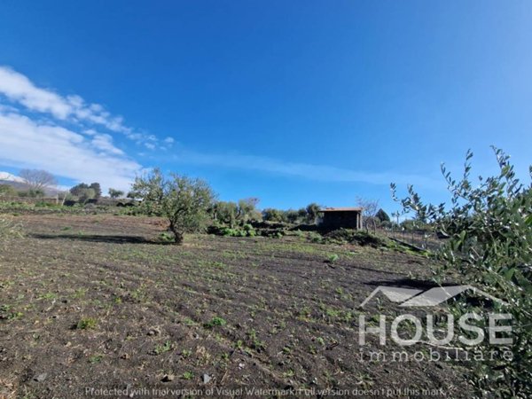 terreno agricolo in vendita a Belpasso