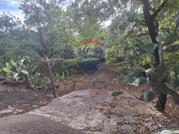 terreno agricolo in vendita a Belpasso