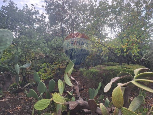 terreno agricolo in vendita a Belpasso