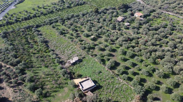 negozio in vendita a Belpasso in zona Piano Tavola