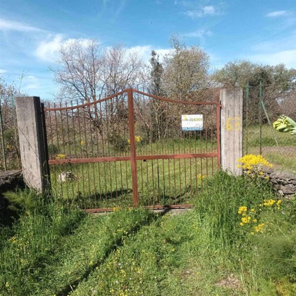 terreno agricolo in vendita a Belpasso
