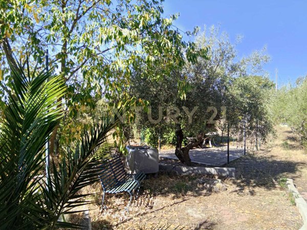 terreno agricolo in vendita a Belpasso