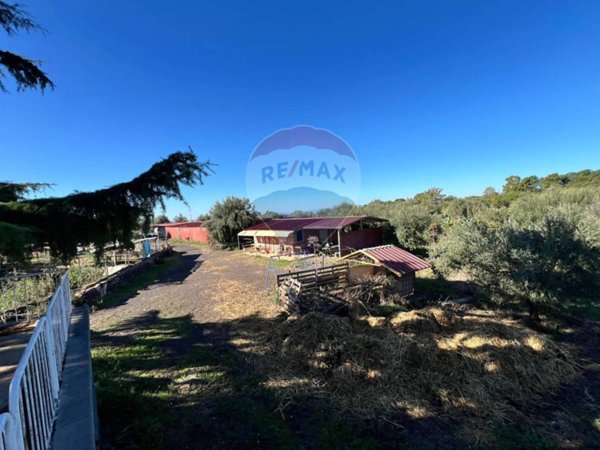 terreno agricolo in vendita a Belpasso