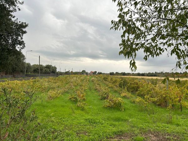 terreno agricolo in vendita a Belpasso