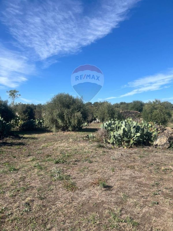 terreno agricolo in vendita a Belpasso