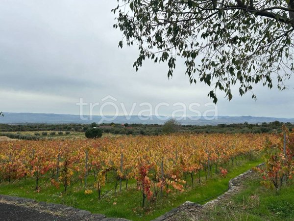 terreno agricolo in vendita a Belpasso