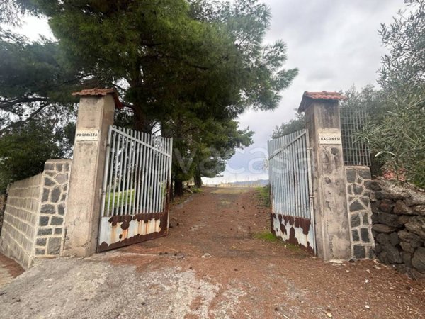 terreno agricolo in vendita a Belpasso