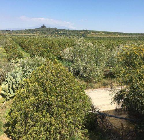 casa indipendente in vendita a Belpasso