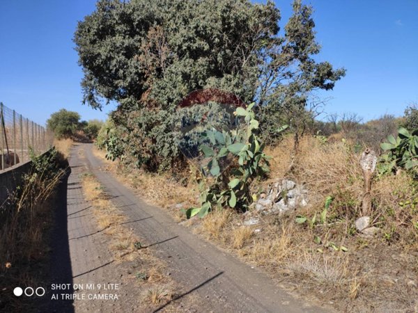 terreno agricolo in vendita a Belpasso