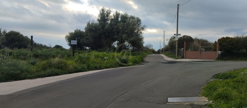terreno agricolo in vendita a Belpasso