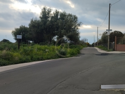 terreno agricolo in vendita a Belpasso