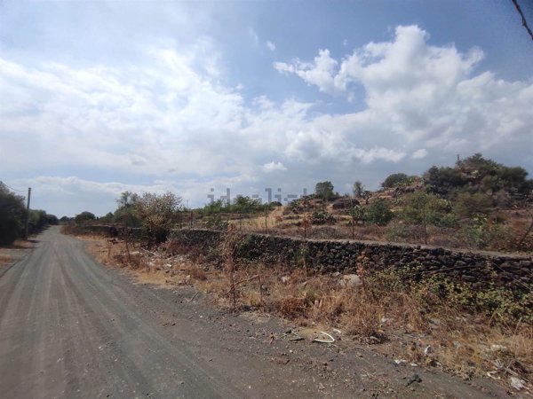 terreno agricolo in vendita a Belpasso