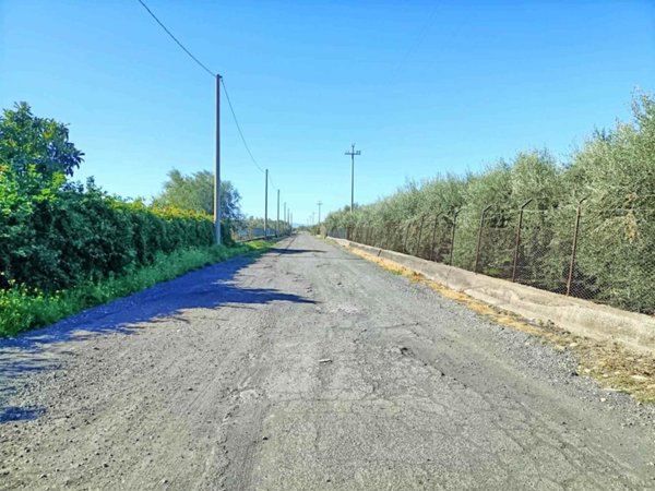 terreno agricolo in vendita a Belpasso