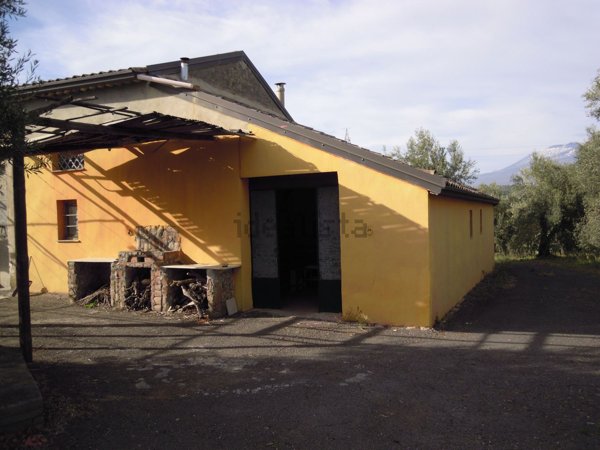 terreno agricolo in vendita a Belpasso