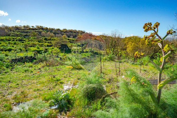 terreno agricolo in vendita a Belpasso