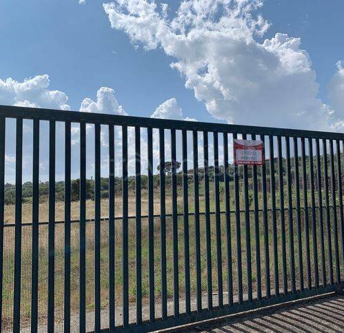 terreno agricolo in vendita a Belpasso