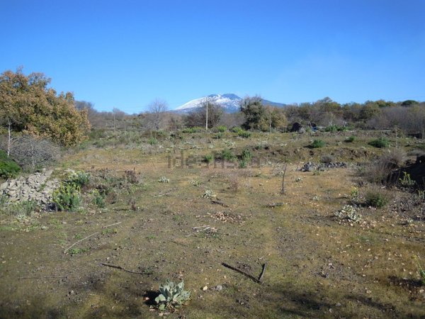 terreno agricolo in vendita a Belpasso