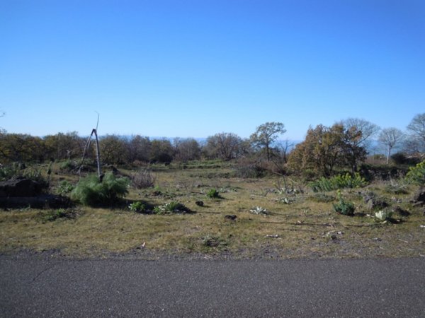 terreno agricolo in vendita a Belpasso