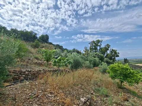 terreno agricolo in vendita a Belpasso