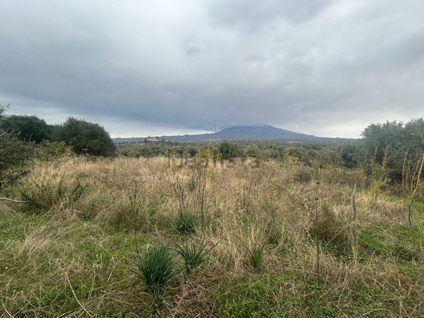 terreno agricolo in vendita a Belpasso