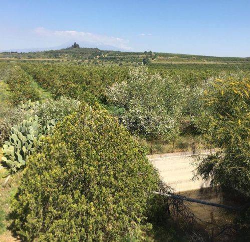 casa indipendente in vendita a Belpasso