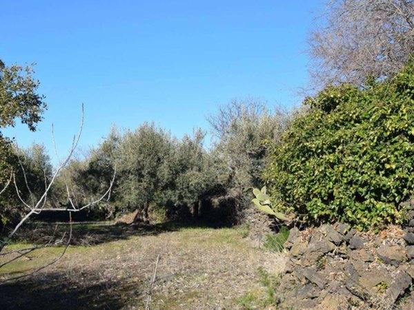 terreno agricolo in vendita a Belpasso
