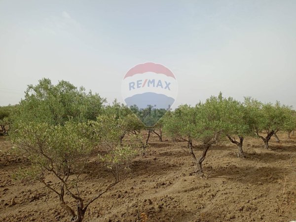 capannone in vendita a Belpasso