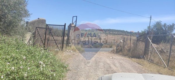 terreno agricolo in vendita a Belpasso