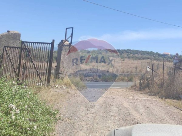 terreno agricolo in vendita a Belpasso