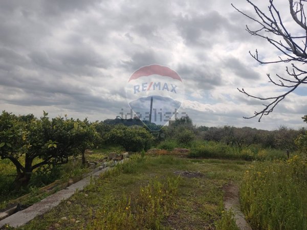 terreno agricolo in vendita a Belpasso