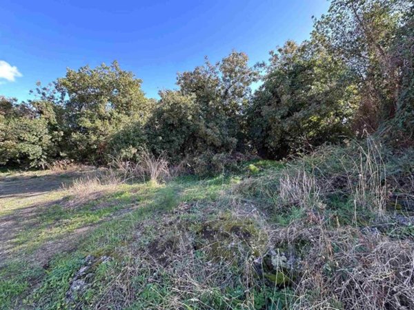 terreno agricolo in vendita a Belpasso