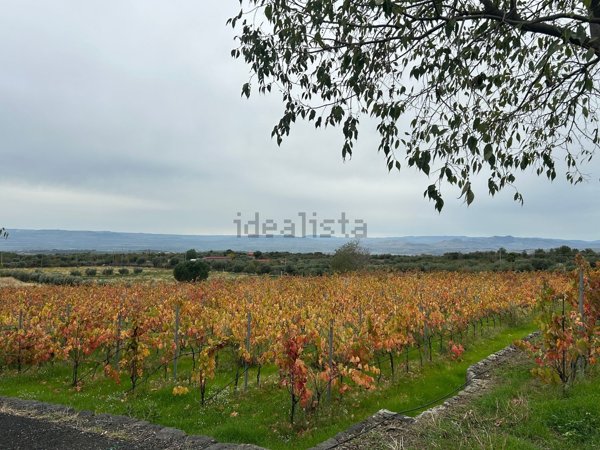 terreno agricolo in vendita a Belpasso