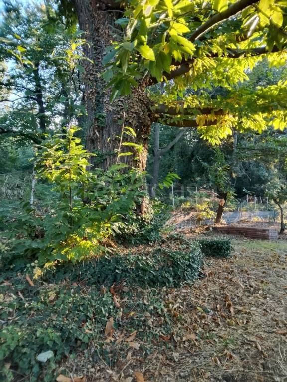 casa indipendente in vendita a Belpasso