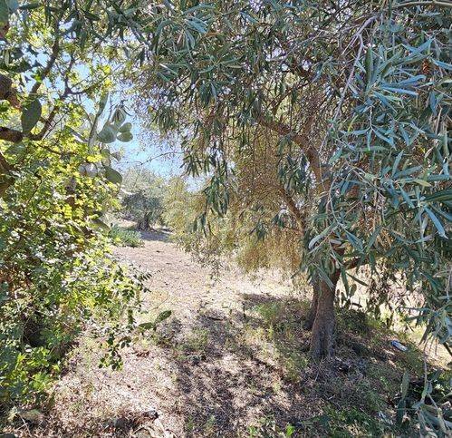 casa indipendente in vendita a Belpasso