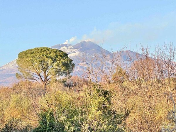 terreno agricolo in vendita a Belpasso
