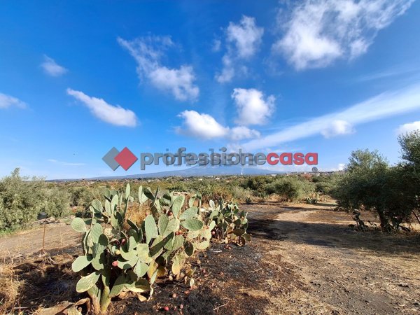 terreno agricolo in vendita a Belpasso