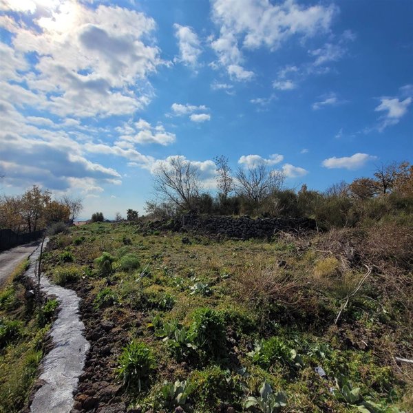 terreno agricolo in vendita a Belpasso