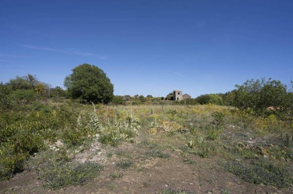 terreno agricolo in vendita a Belpasso