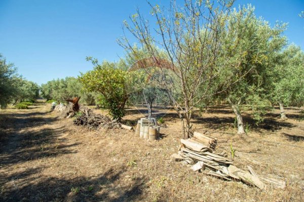 terreno agricolo in vendita a Belpasso