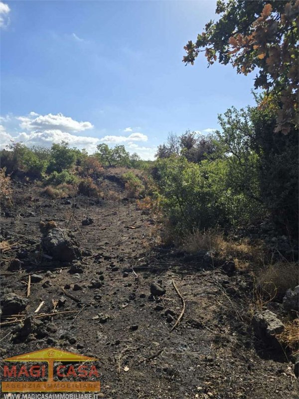 terreno agricolo in vendita a Belpasso