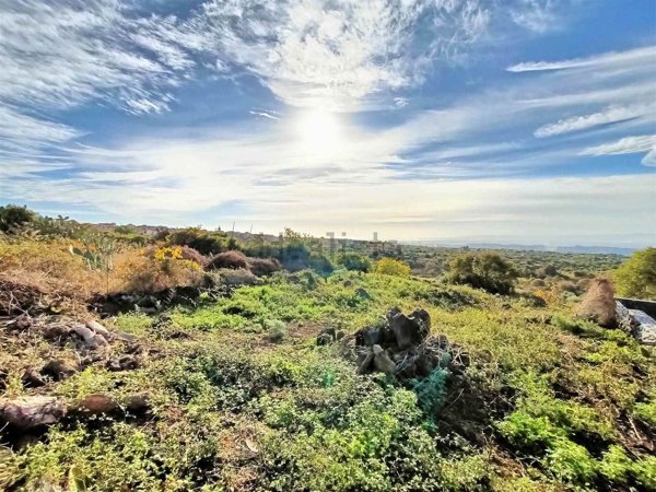 terreno agricolo in vendita a Belpasso
