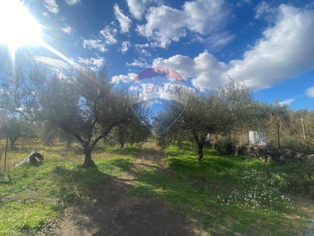 terreno agricolo in vendita a Belpasso