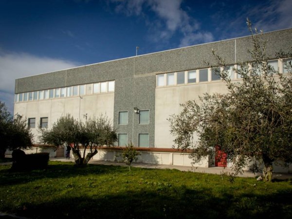 locale commerciale in vendita a Belpasso