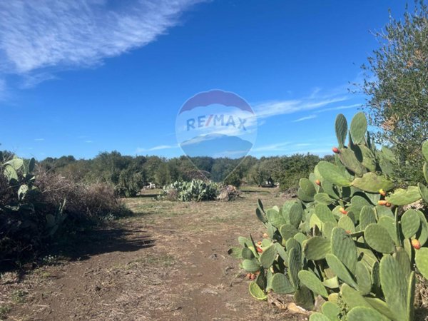 terreno agricolo in vendita a Belpasso