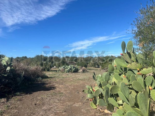 terreno agricolo in vendita a Belpasso