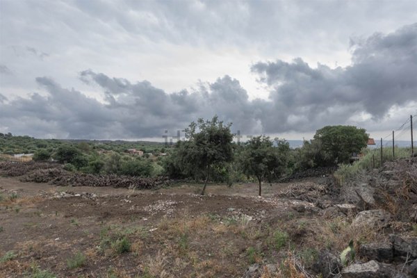 terreno agricolo in vendita a Belpasso in zona Piano Tavola