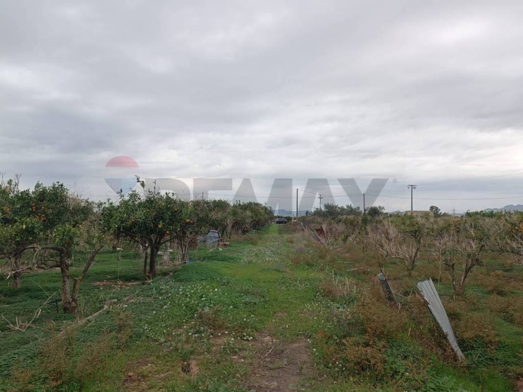 terreno agricolo in vendita a Belpasso