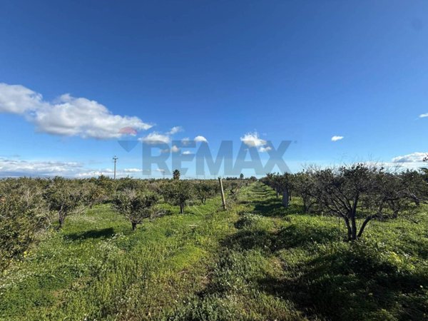 terreno agricolo in vendita a Belpasso