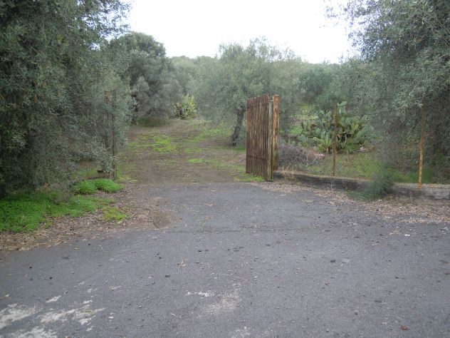 terreno agricolo in vendita a Belpasso