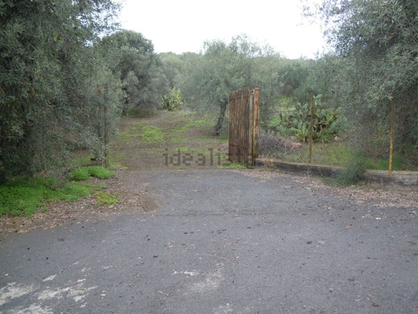 terreno agricolo in vendita a Belpasso